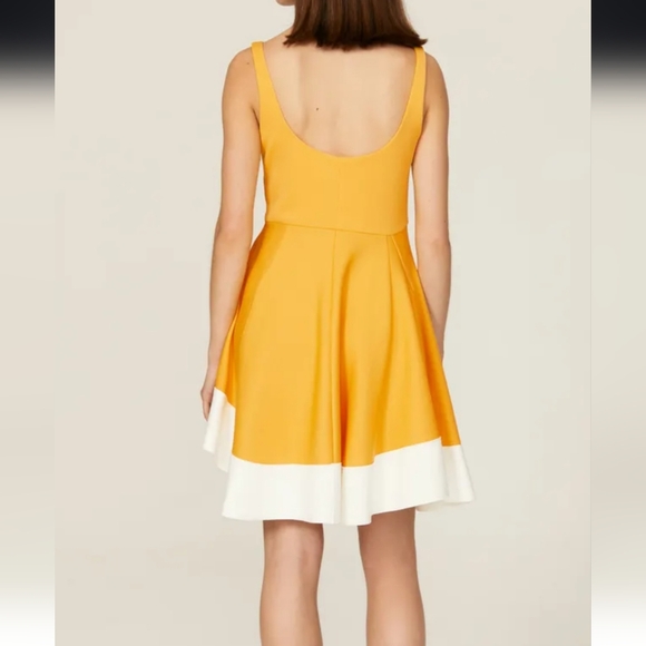 Esteban Cortazar Collective Flamenco Dress - Picture 4 of 7